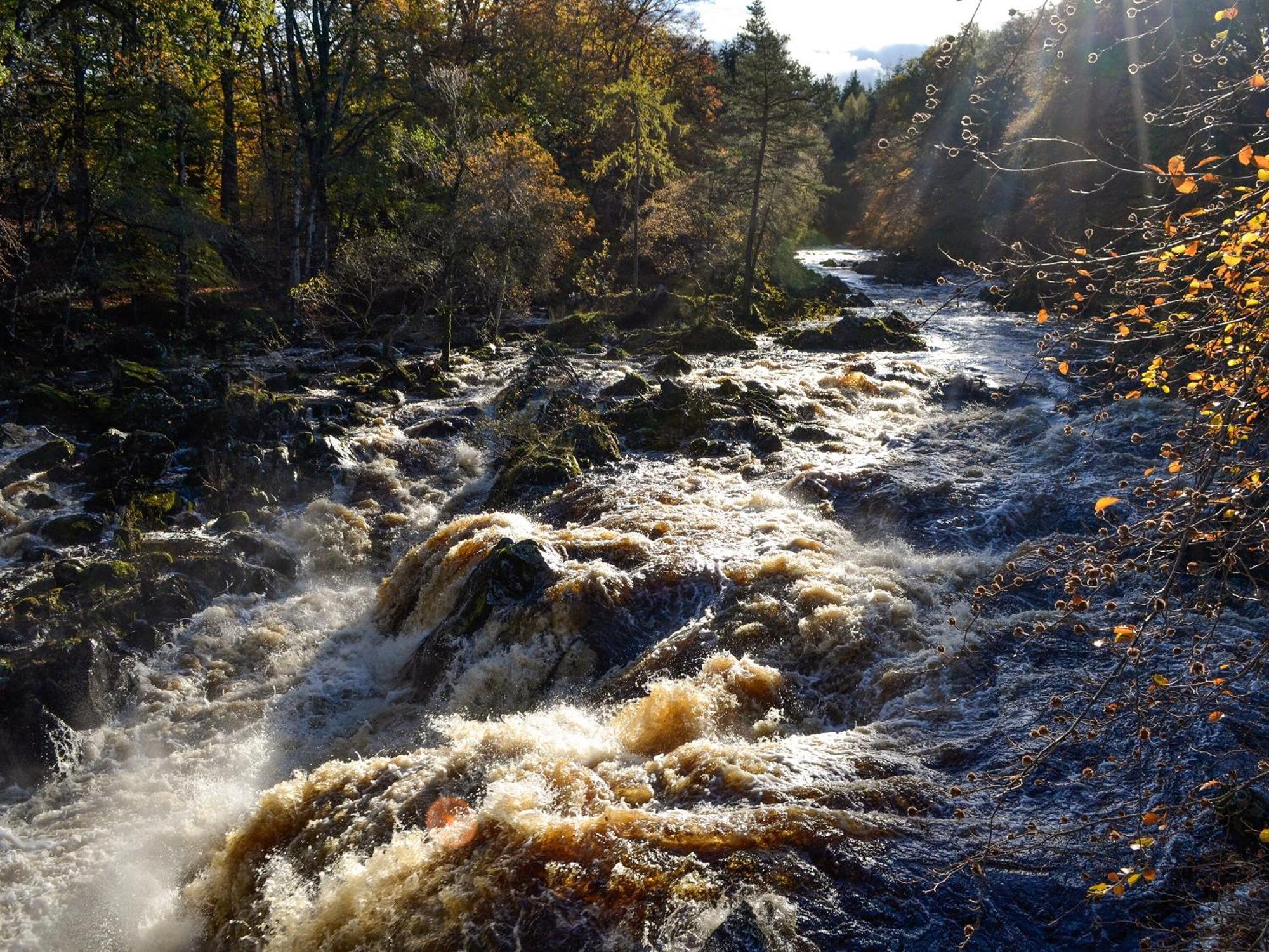 Toll Bridge Lodge Banchory Εξωτερικό φωτογραφία